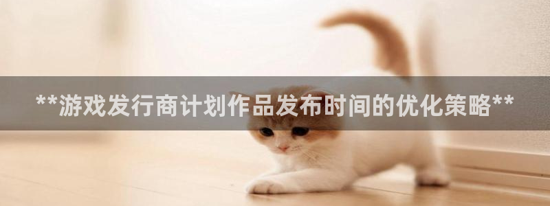 新城平台登录入口官网