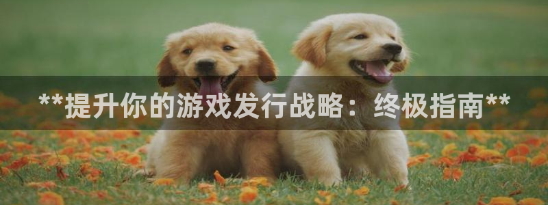 新城平台平台最新活动