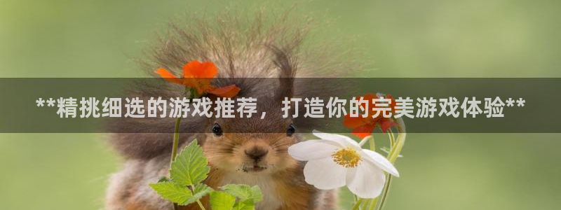 新城平台注册资金多少钱
