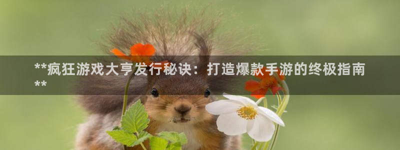 新城平台线路登录不上去