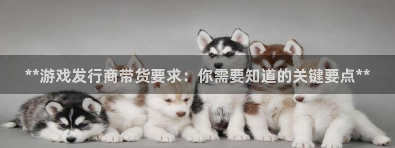 新城平台官网注册流程