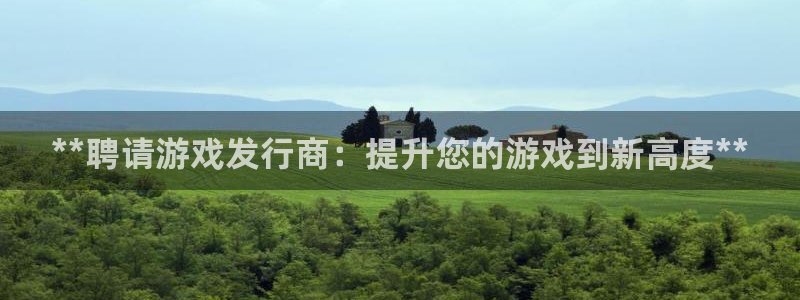 新城平台主管