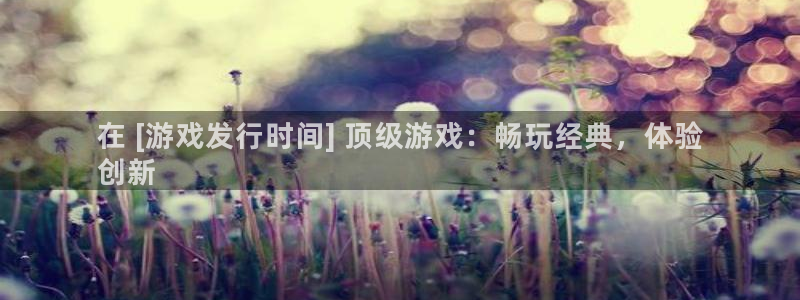 新城平台登录密码忘了
