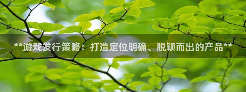 新城平台价7O777
