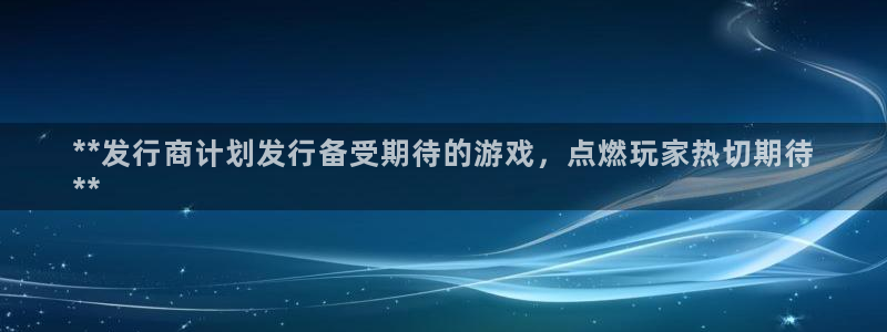 新城平台总代