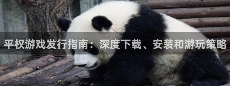 新城平台企业信息查询