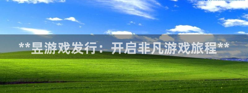 新城平台负责人名单