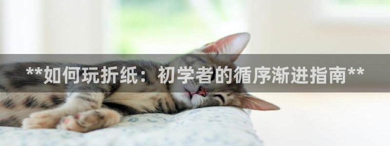 新城平台注册流程及费用