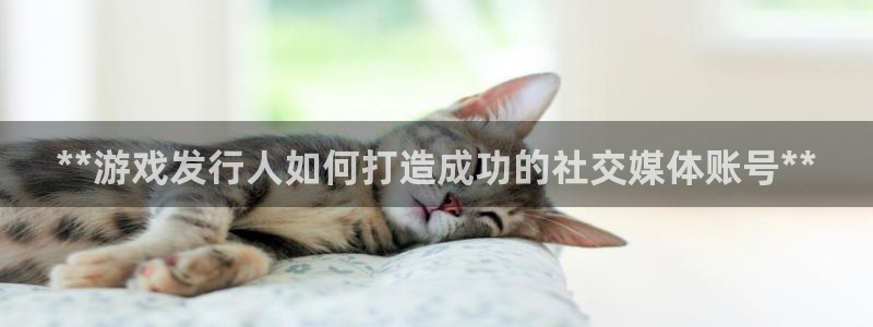 新城平台
