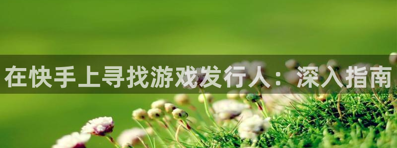 新城平台总代理是谁