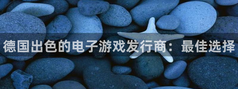 新城平台注册