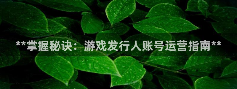 新城平台官网注册账号