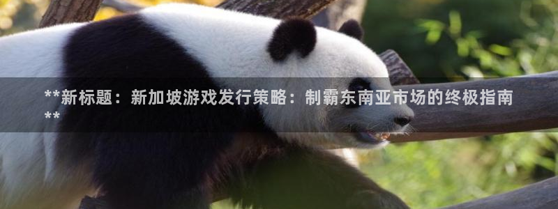 新城平台注册网址是多少