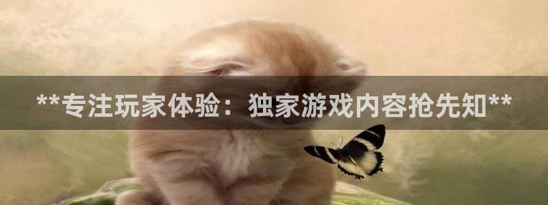 新城平台代理