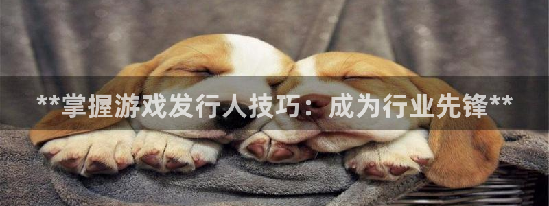 新城平台登录入口官网查询网址