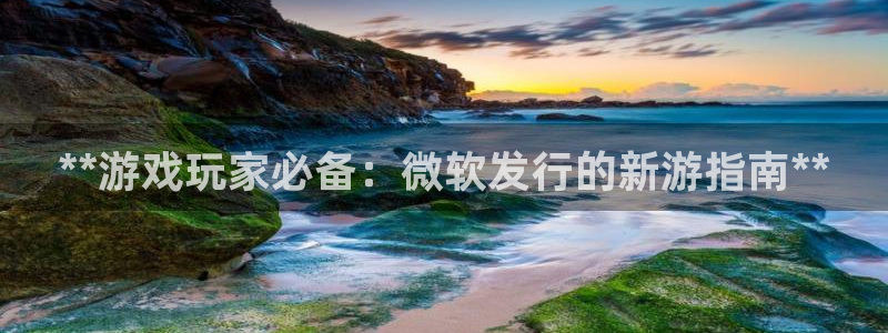 新城平台官网首页网址