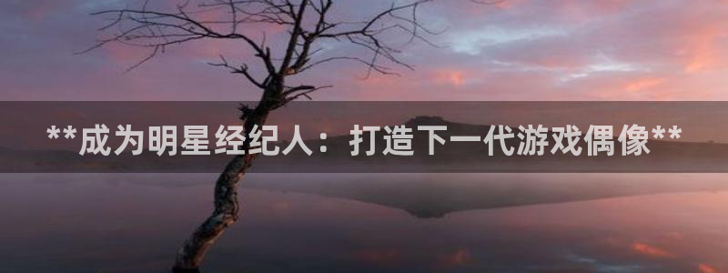 新城平台登录密码忘了