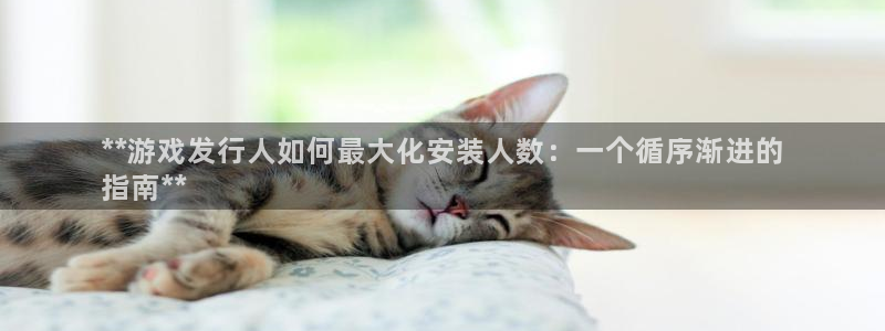 新城平台官网首页登录