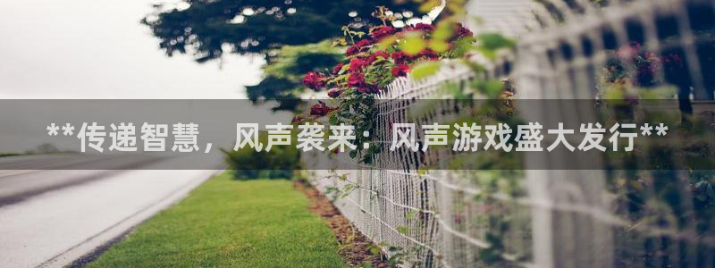 新城平台线路登录不上去怎么办