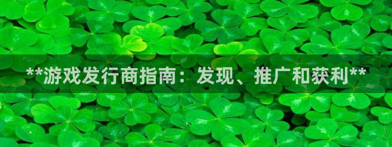 新城平台注册登录地址怎么填