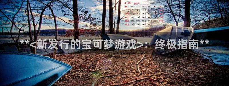 新城平台注册资金多少亿