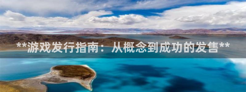 新城平台登录入口官网查询系统