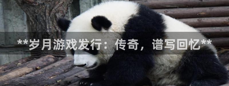 新城平台登录入口官网网址是多少
