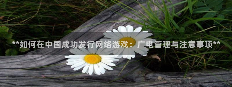 新城平台注册登录地址怎么填
