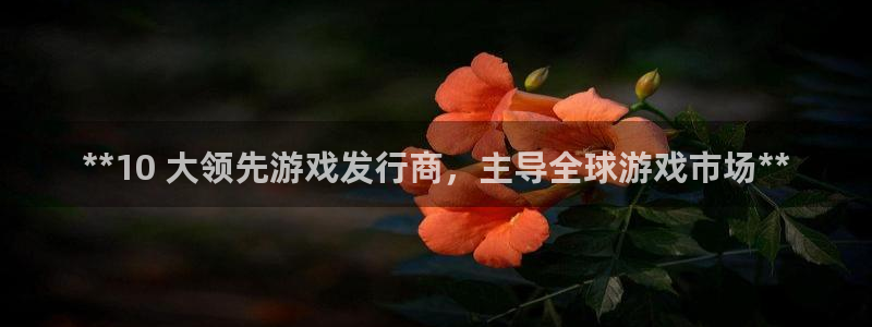 新城平台注册网址是多少