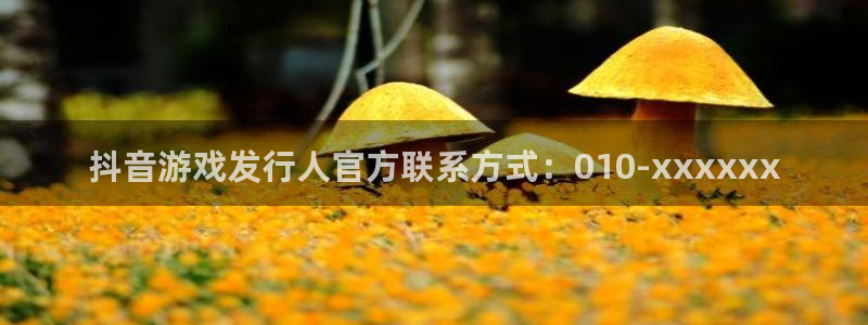 新城平台注册登录地址