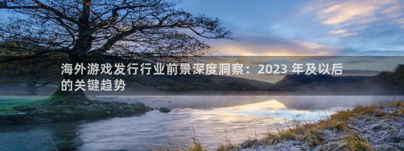 新城平台是干嘛的公司有哪些
