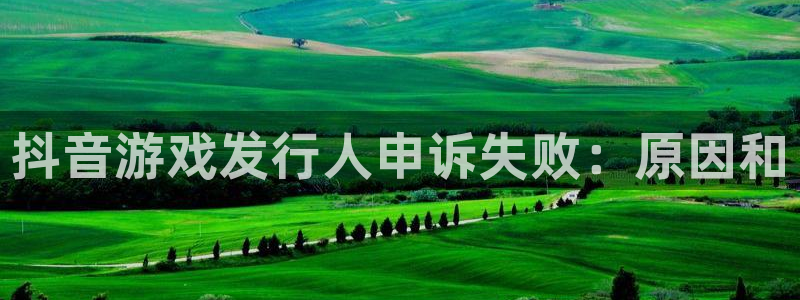 新城平台线路登录不上去