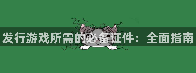 新城平台代理注册公司