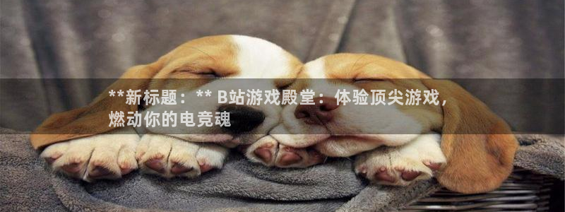 新城平台登录入口官网查询信息