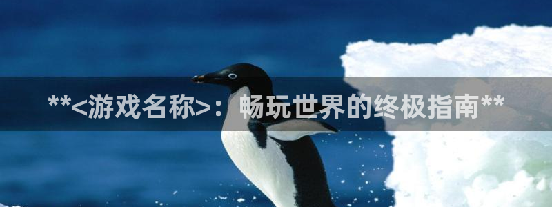 新城平台登录入口官网首页查询