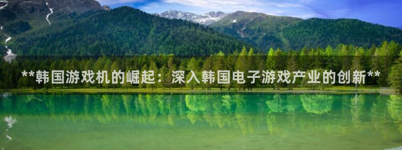 新城平台注册公司流程图