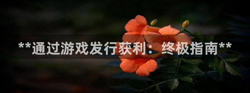 新城平台总代