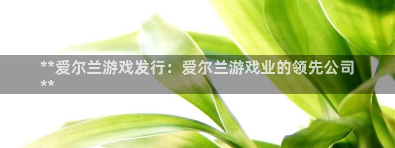 新城平台注册资金多少钱