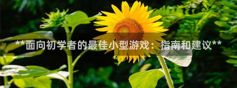 新城平台绝7O777：**面向初学者的最佳小型游戏：指南和建议**