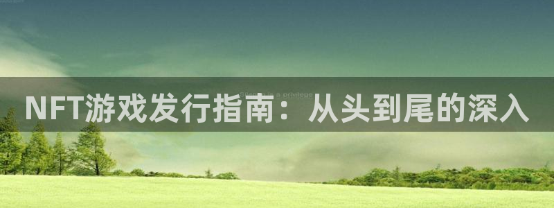 新城平台进.新城平台.稳定风险提示：NFT游戏发行指南：从头到尾的深入