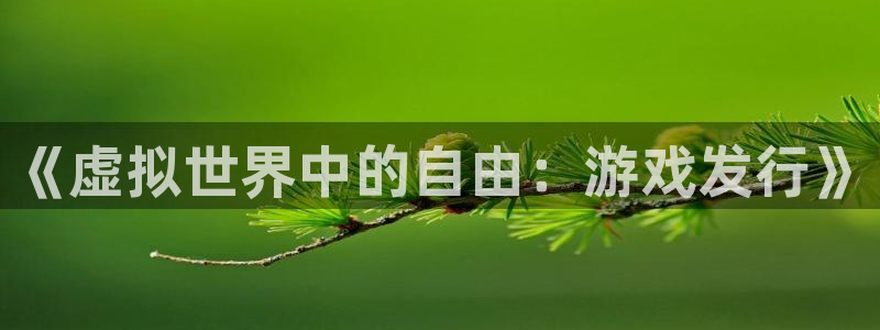 新城平台进·新城平台