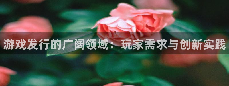 新城平台登录入口网站