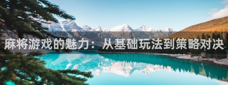 新城平台足7O777