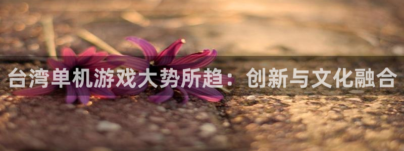 新城平台登录入口官网查询信息