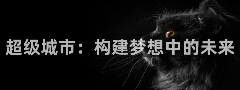 新城平台线路登录