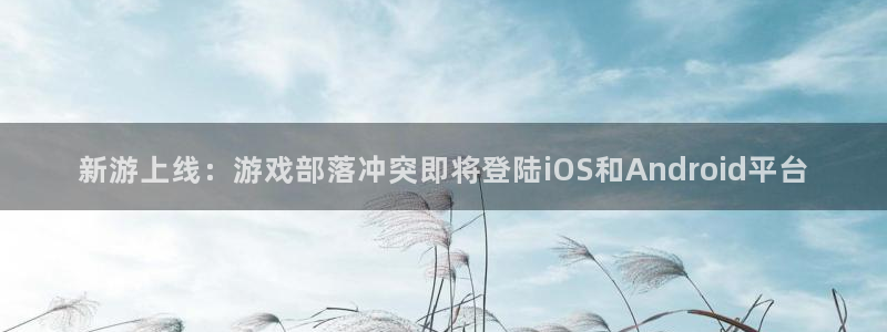 新城平台注册流程