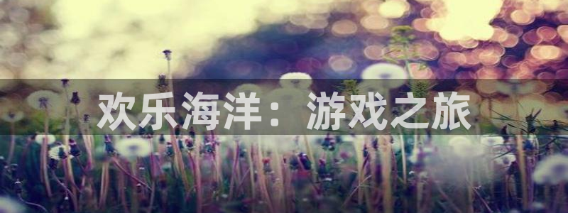 新城平台登录入口官网查询信息