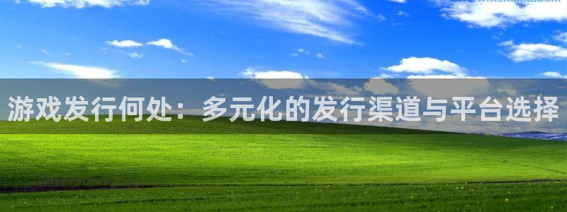 新城平台官网注册