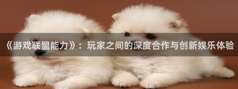 新城平台官网首页入口