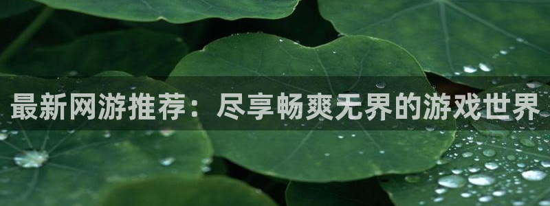 新城平台官网注册账号